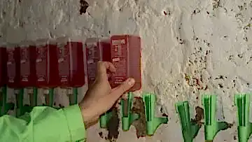 Su İzolasyon nem ve rutubet yalıtımı