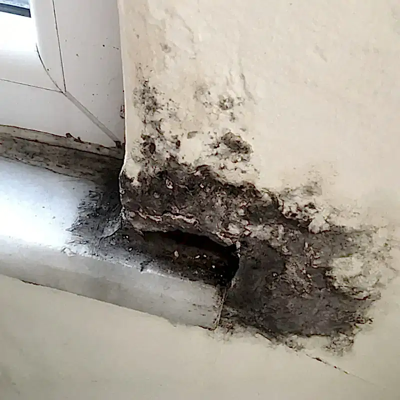 NEM VE RUTUBET YALITIMI-4 NEM-VE-RUTUBET-YALITIMI