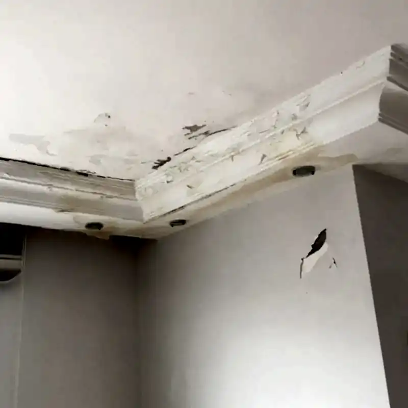 NEM-VE-RUTUBET-YALITIMI